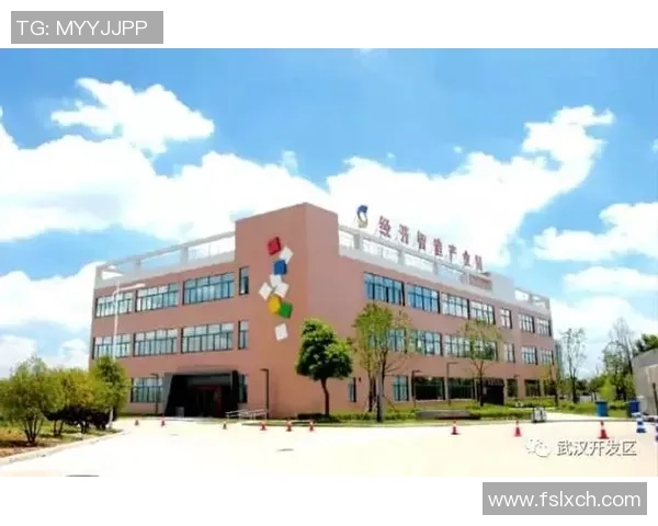 武汉乒乓球队转型升级之路探索与未来发展展望